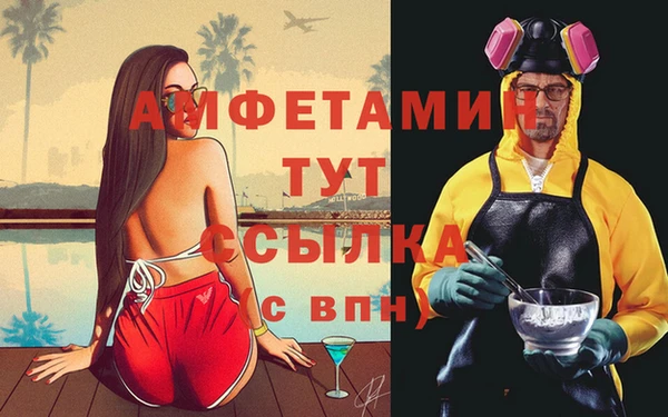шишки Дмитриев